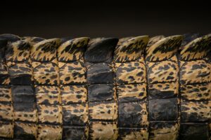 敏感肌の人がワキガの服の上から匂い対策をする方法は？