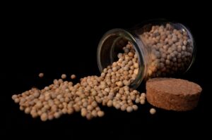 敏感肌の人がワキガ対策に選ぶべき香料アレルギーに配慮したデオドラントは？