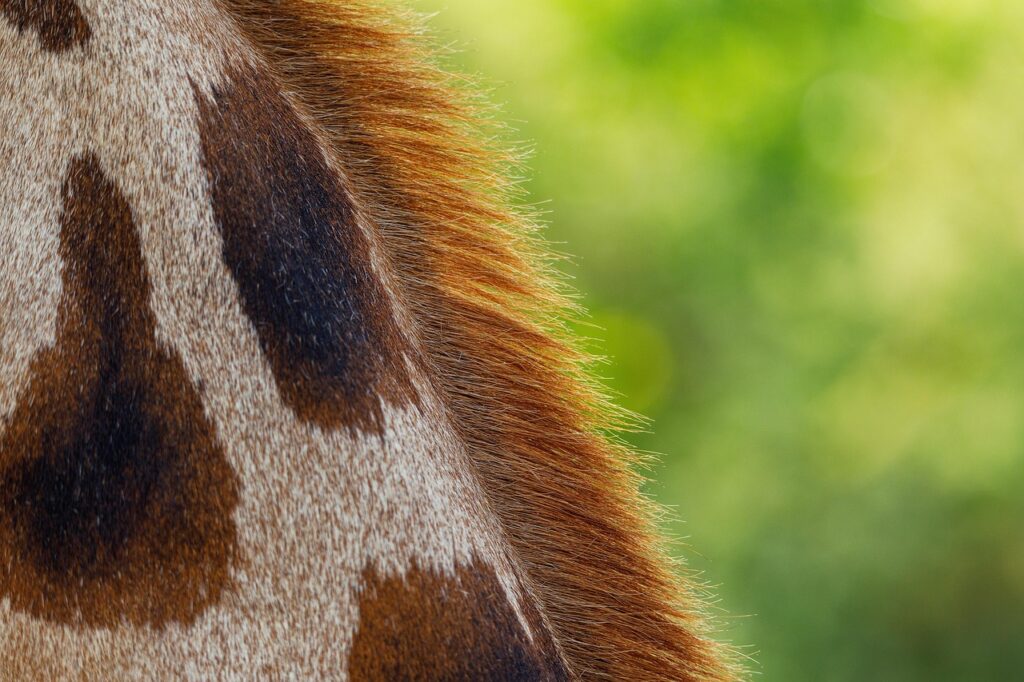 敏感肌のメンズが彼女に臭いと言われた時の対処法は？