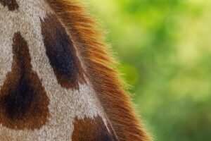 敏感肌のメンズが彼女に臭いと言われた時の対処法は？