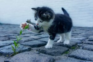 体臭ケアの効果は本当？実際の口コミを徹底調査！